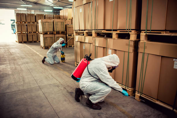 Best Pest Prevention Services  in Mansfield, TX