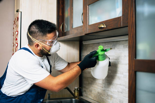 Best Affordable Pest Control Services  in Mansfield, TX