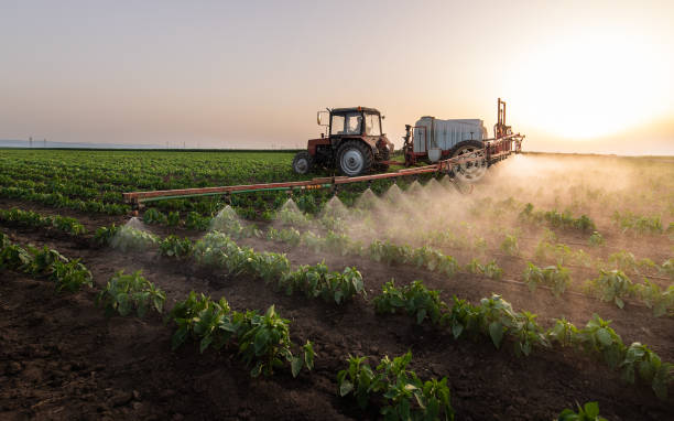Best Pest Prevention Services  in Mansfield, TX