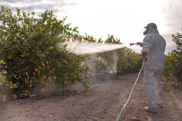 Best Flea Control Services  in Mansfield, TX