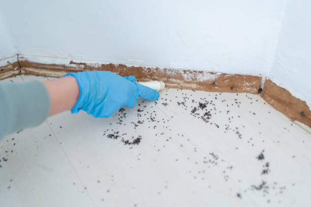 Best Emergency Pest Control  in Mansfield, TX